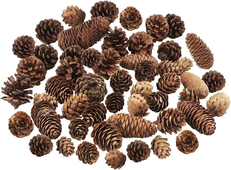 Jangostor 40 Piezas Piñas Decorativas Navidad, Paquete a Granel de Conos de Pino Secado Natural - Tmaño Grande Mediano y Pequeño, Piñas Decorativas para Mesa árbol Manualidades Regalos Halloween Navideña — Decoracion Navidad
